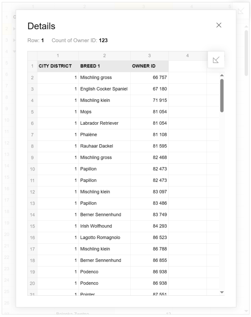 Screenshot of the React Pivot Table's 'Details' popup window, showing raw data records after a drill-through. It displays individual 'CITY DISTRICT', 'BREED', and 'OWNER ID' entries.