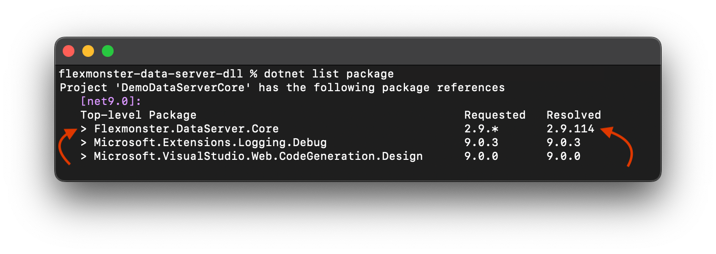 Terminal with the project's packages, where the version can be checked